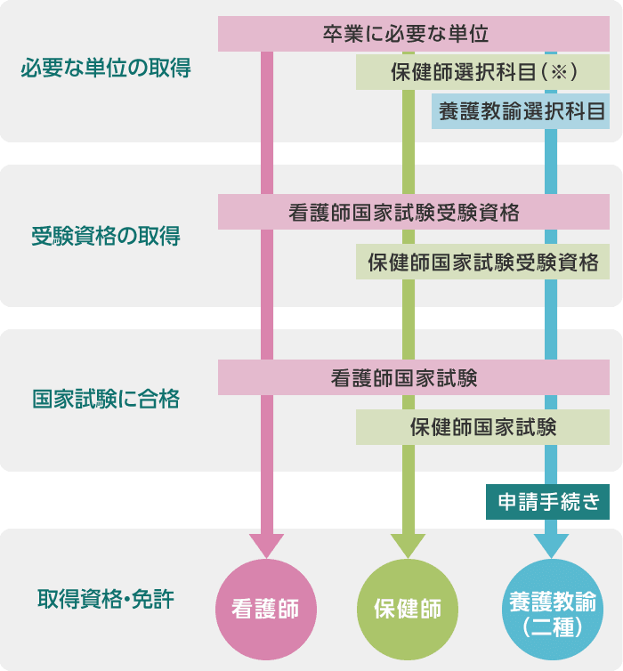 本学における資格・免許取得のイメージ