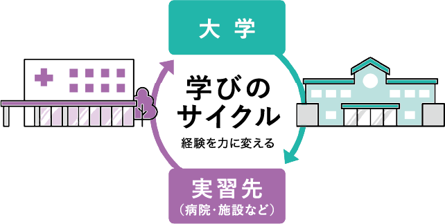 学びのサイクル