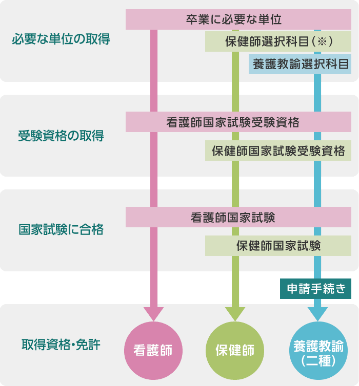 本学における資格・免許取得のイメージ